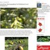 Herbstlicher Marmorguglhupf mit Bestes Kürbiskernöl und Kürbiskernen